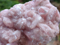 Natural Rare Rhodocalcite Specimens x 2 From Congo