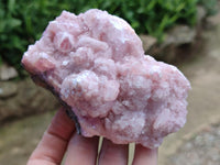 Natural Rare Rhodocalcite Specimens x 2 From Congo