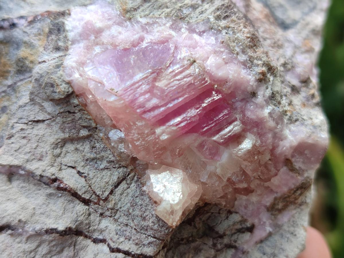 Natural Rare Rhodocalcite Specimens x 2 From Congo