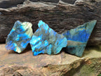 Polished on One Side Labradorite Slices x 24 From Madagascar