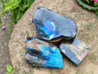 Polished on One Side Labradorite Slices x 24 From Madagascar