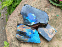 Polished on One Side Labradorite Slices x 24 From Madagascar