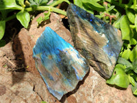Polished on One Side Labradorite Slices x 24 From Madagascar
