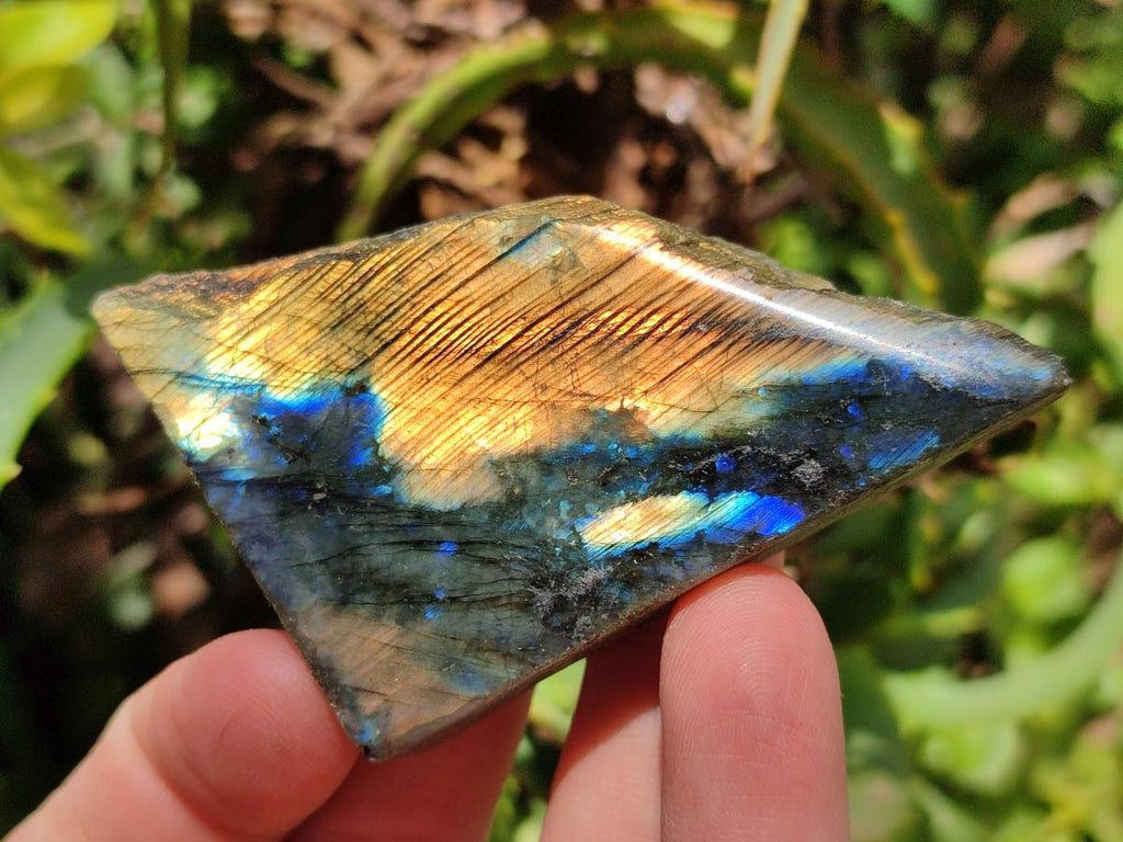 Polished on One Side Labradorite Slices x 24 From Madagascar