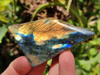 Polished on One Side Labradorite Slices x 24 From Madagascar