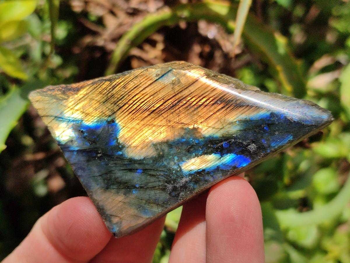 Polished on One Side Labradorite Slices x 24 From Madagascar