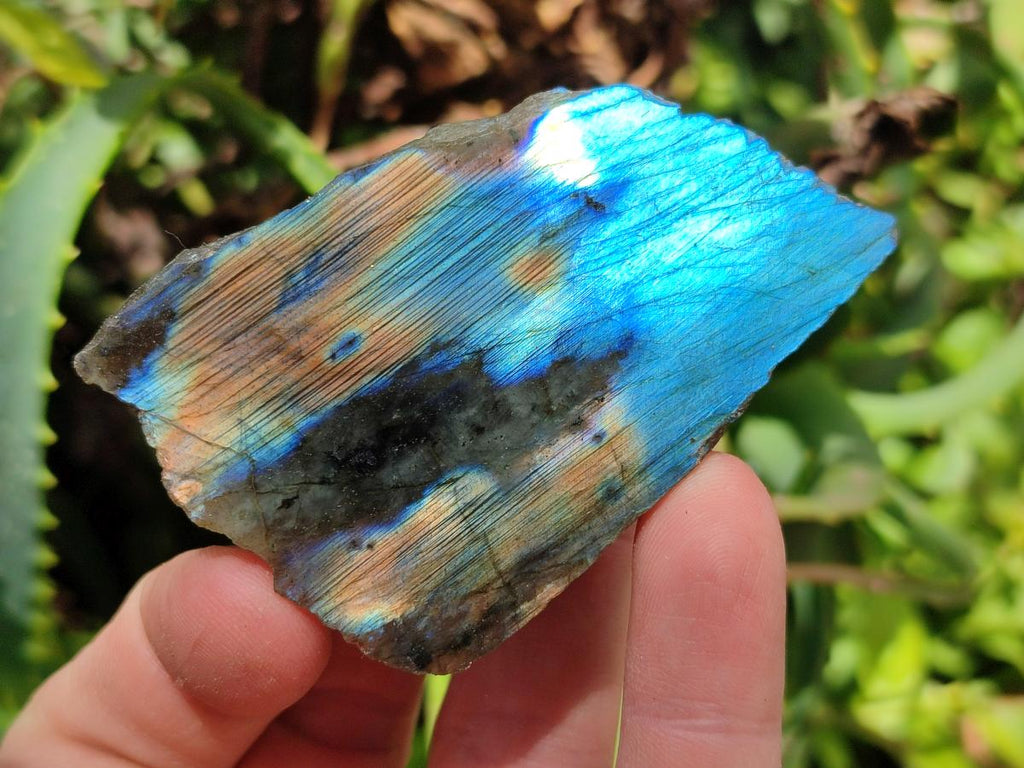 Polished on One Side Labradorite Slices x 24 From Madagascar