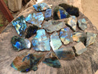 Polished on One Side Labradorite Slices x 24 From Madagascar