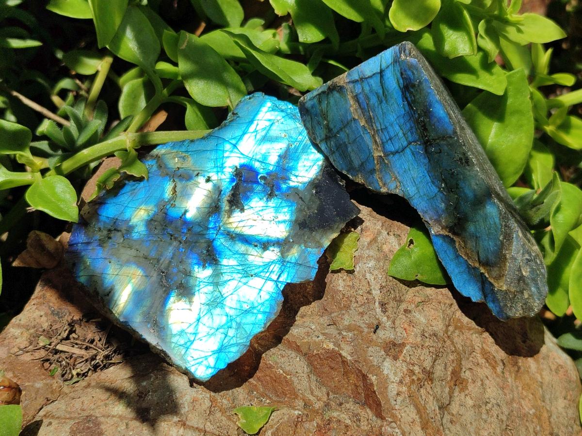 Polished on One Side Labradorite Slices x 24 From Madagascar