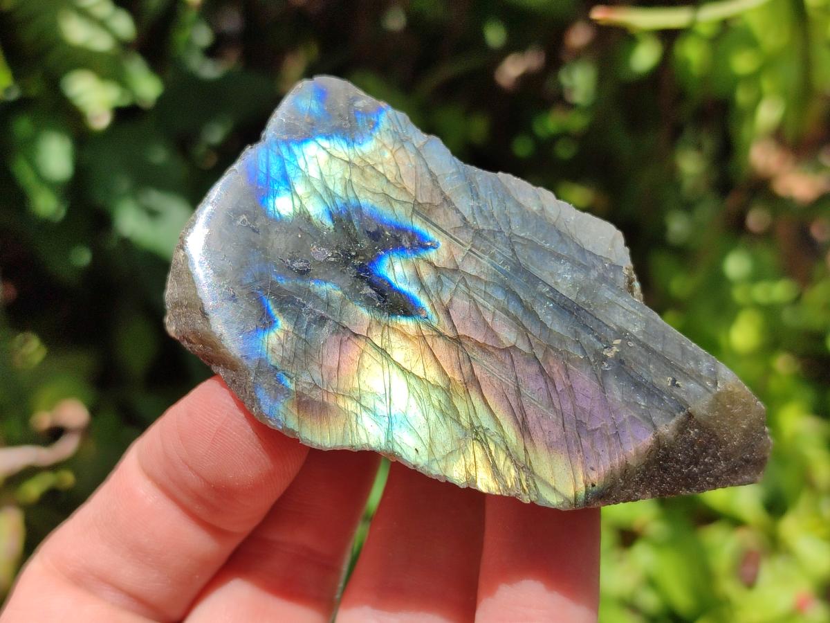 Polished on One Side Labradorite Slices x 24 From Madagascar