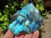 Polished on One Side Labradorite Slices x 24 From Madagascar