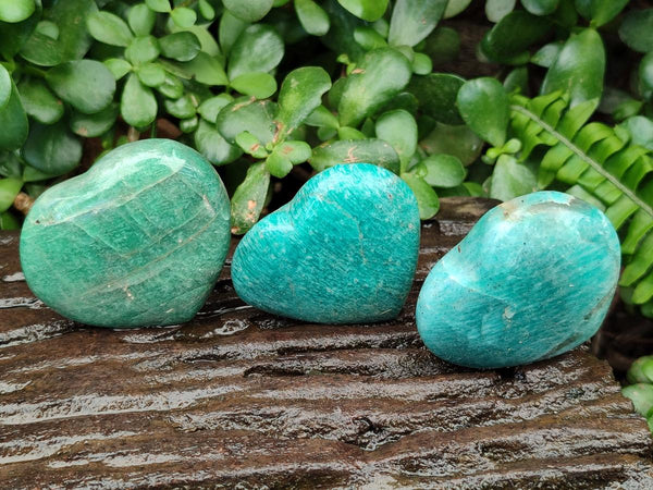 Polished Amazonite Hearts x 15 From Madagascar