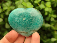 Polished Amazonite Hearts x 15 From Madagascar
