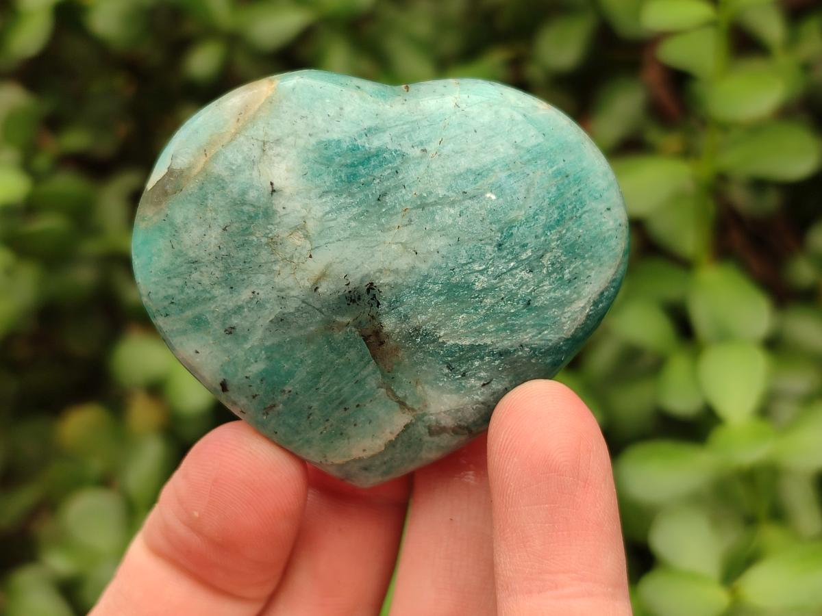 Polished Amazonite Hearts x 15 From Madagascar