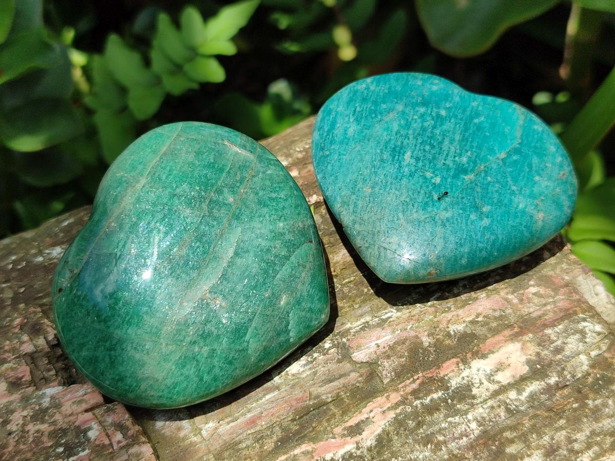 Polished Amazonite Hearts x 15 From Madagascar