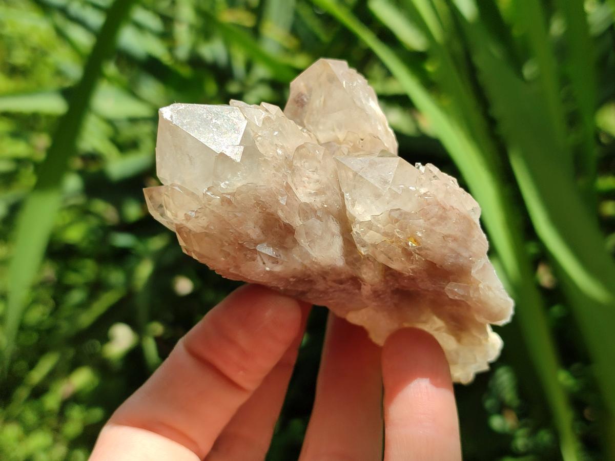 Natural Smokey Phantom Quartz Clusters x 6 From Luena, Congo