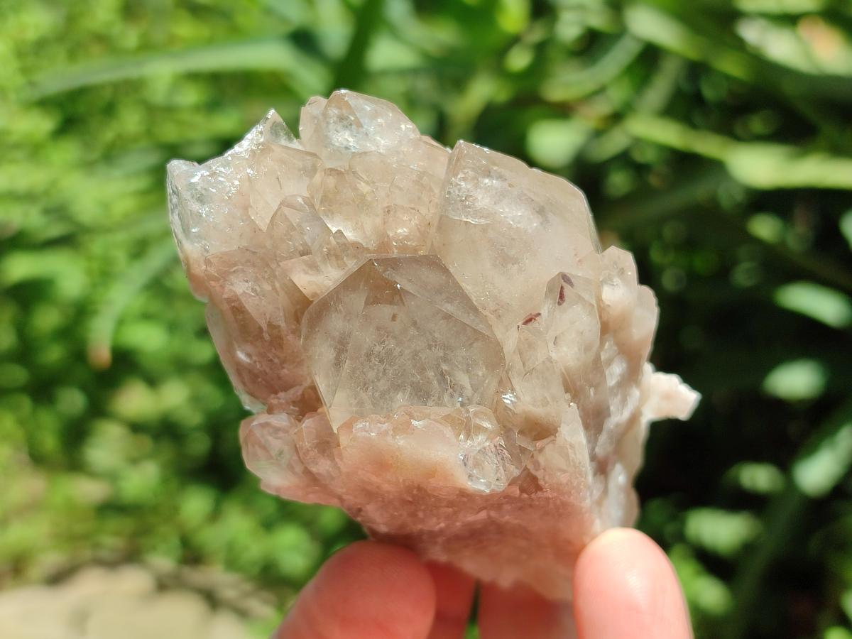 Natural Smokey Phantom Quartz Clusters x 6 From Luena, Congo