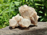 Natural Smokey Phantom Quartz Clusters x 6 From Luena, Congo