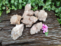 Natural Smokey Phantom Quartz Clusters x 6 From Luena, Congo