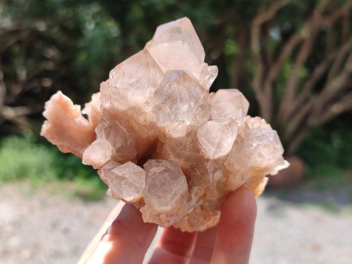 Natural Smokey Phantom Quartz Clusters x 6 From Luena, Congo