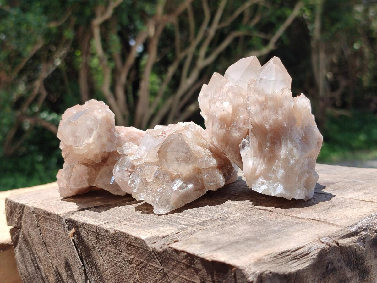 Natural Smokey Phantom Quartz Clusters x 6 From Luena, Congo