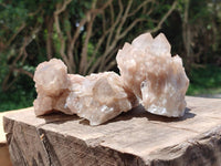 Natural Smokey Phantom Quartz Clusters x 6 From Luena, Congo