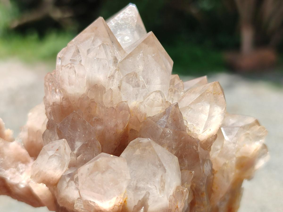 Natural Smokey Phantom Quartz Clusters x 6 From Luena, Congo