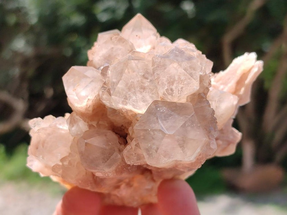 Natural Smokey Phantom Quartz Clusters x 6 From Luena, Congo
