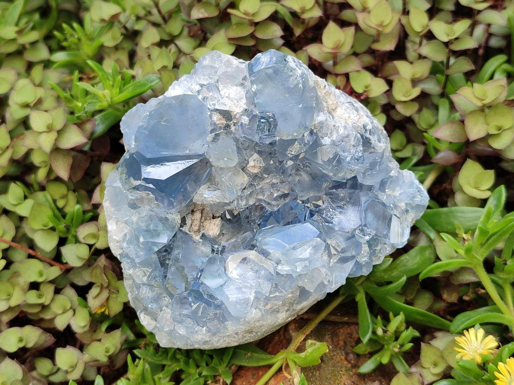 Natural Blue Celestite Geode Specimens x 2 From Sakoany, Madagascar
