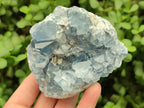 Natural Blue Celestite Geode Specimens x 2 From Sakoany, Madagascar