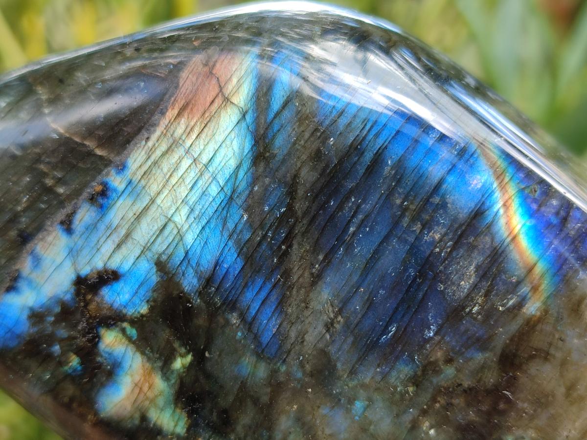 Polished Labradorite Standing Free Forms x 2 From Madagascar - Toprock Gemstones and Minerals 