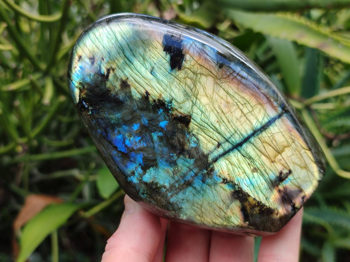 Polished Labradorite Standing Free Forms x 2 From Madagascar - Toprock Gemstones and Minerals 
