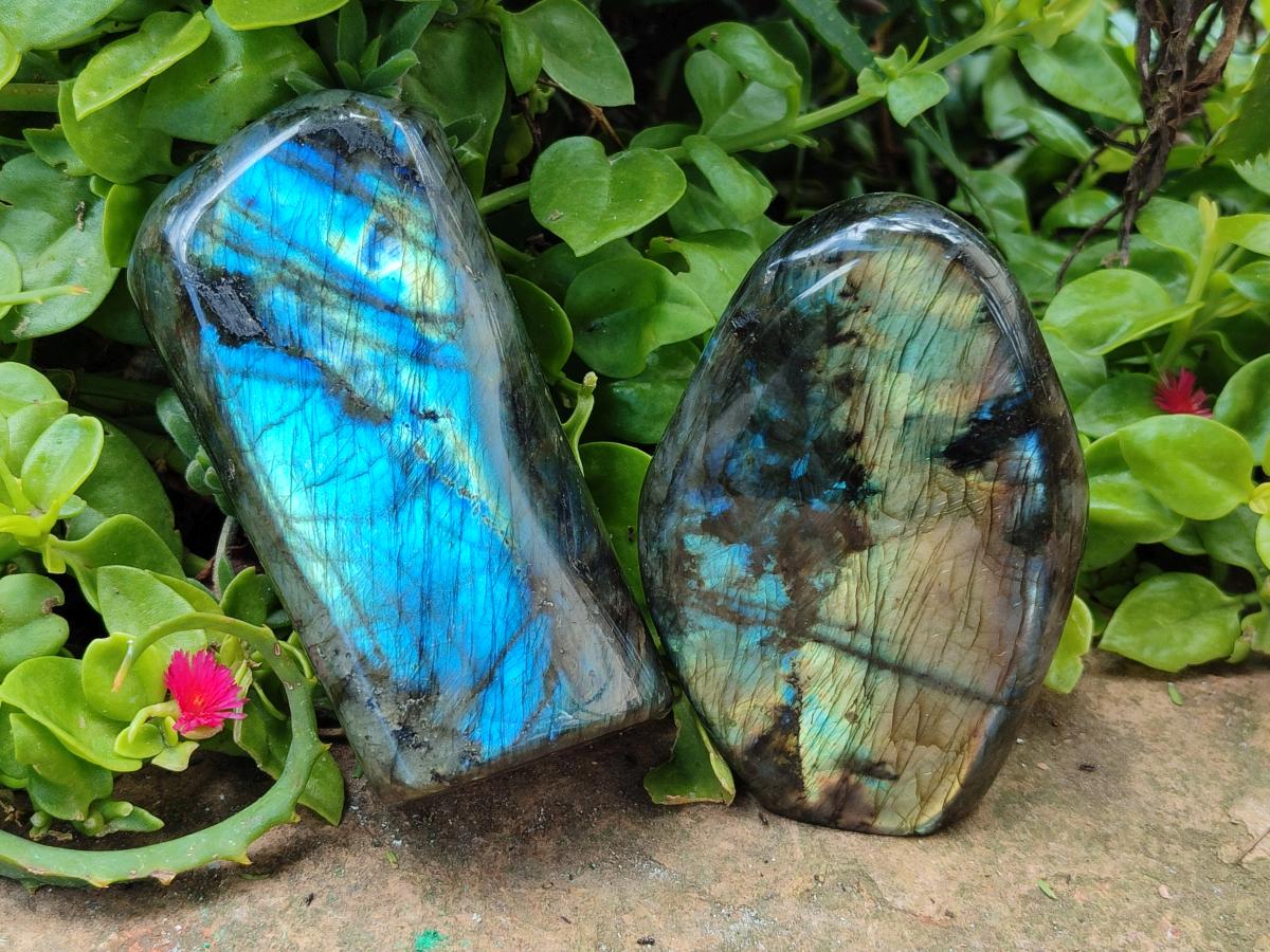 Polished Labradorite Standing Free Forms x 2 From Madagascar - Toprock Gemstones and Minerals 