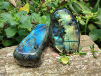 Polished Labradorite Standing Free Forms x 2 From Madagascar