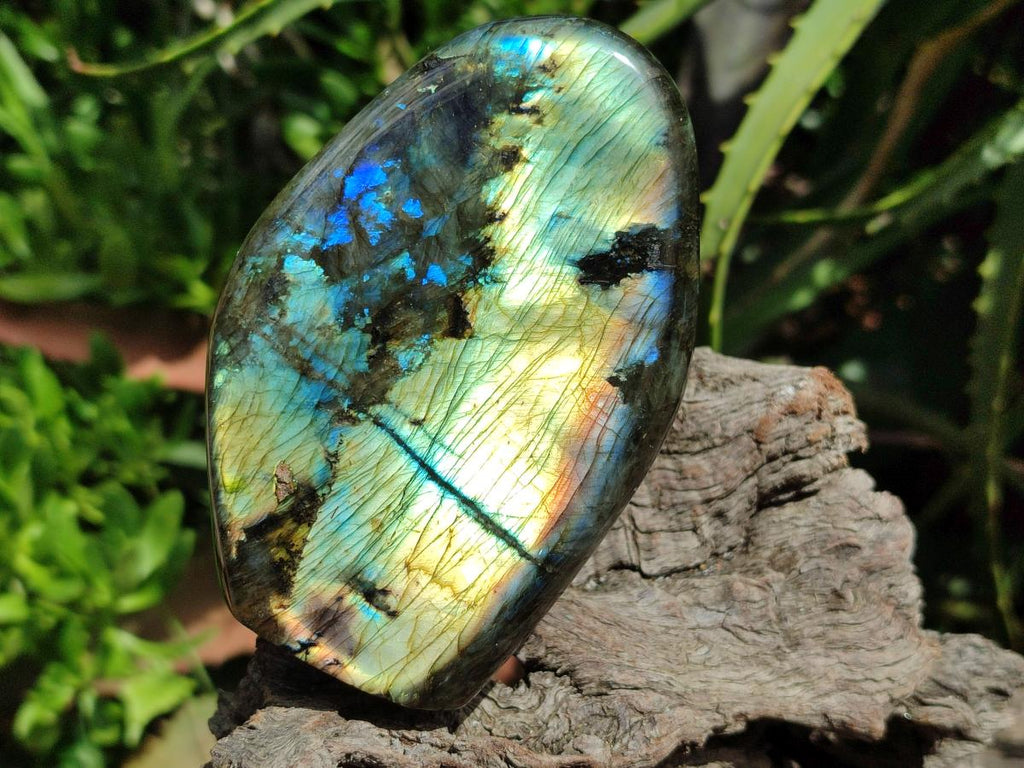 Polished Labradorite Standing Free Forms x 2 From Madagascar - Toprock Gemstones and Minerals 