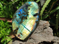 Polished Labradorite Standing Free Forms x 2 From Madagascar