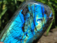 Polished Labradorite Standing Free Forms x 2 From Madagascar
