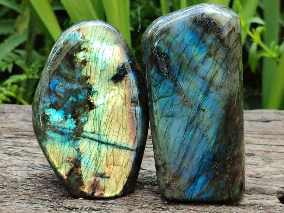 Polished Labradorite Standing Free Forms x 2 From Madagascar - Toprock Gemstones and Minerals 