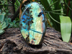 Polished Labradorite Standing Free Forms x 2 From Madagascar - Toprock Gemstones and Minerals 