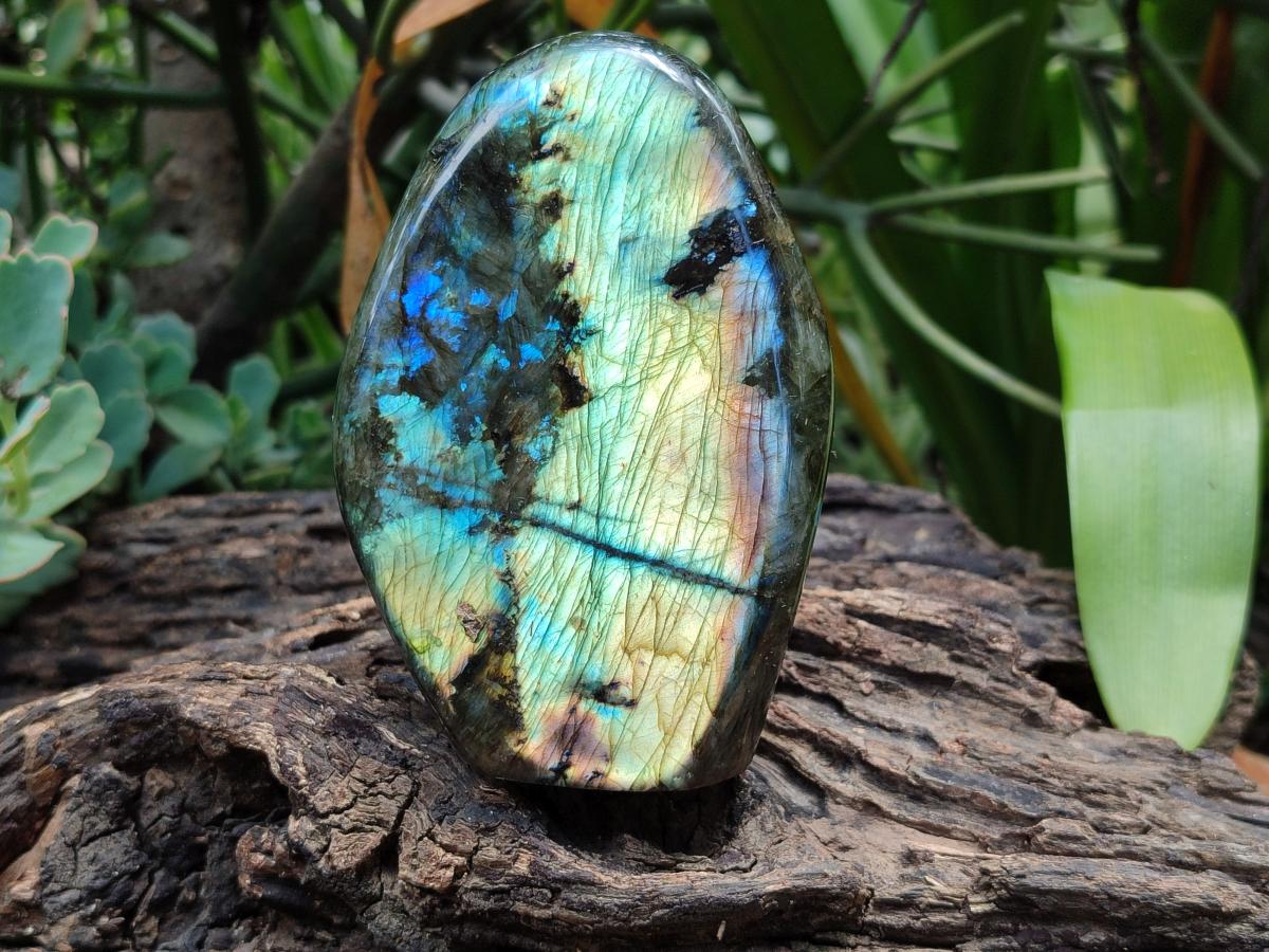 Polished Labradorite Standing Free Forms x 2 From Madagascar - Toprock Gemstones and Minerals 