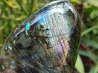 Polished Labradorite Standing Free Forms x 2 From Madagascar