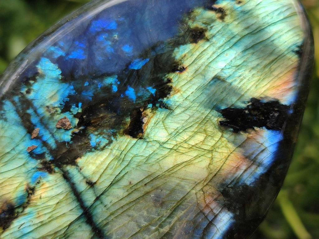 Polished Labradorite Standing Free Forms x 2 From Madagascar - Toprock Gemstones and Minerals 