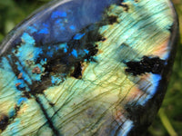 Polished Labradorite Standing Free Forms x 2 From Madagascar