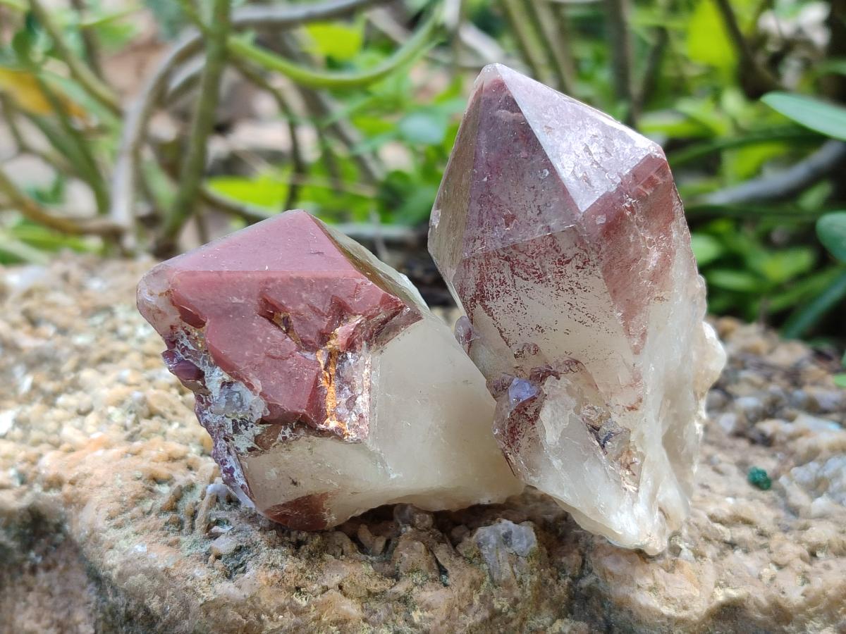 Natural Red Hematoid Quartz Crystals x 12 From Karoi, Zimbabwe