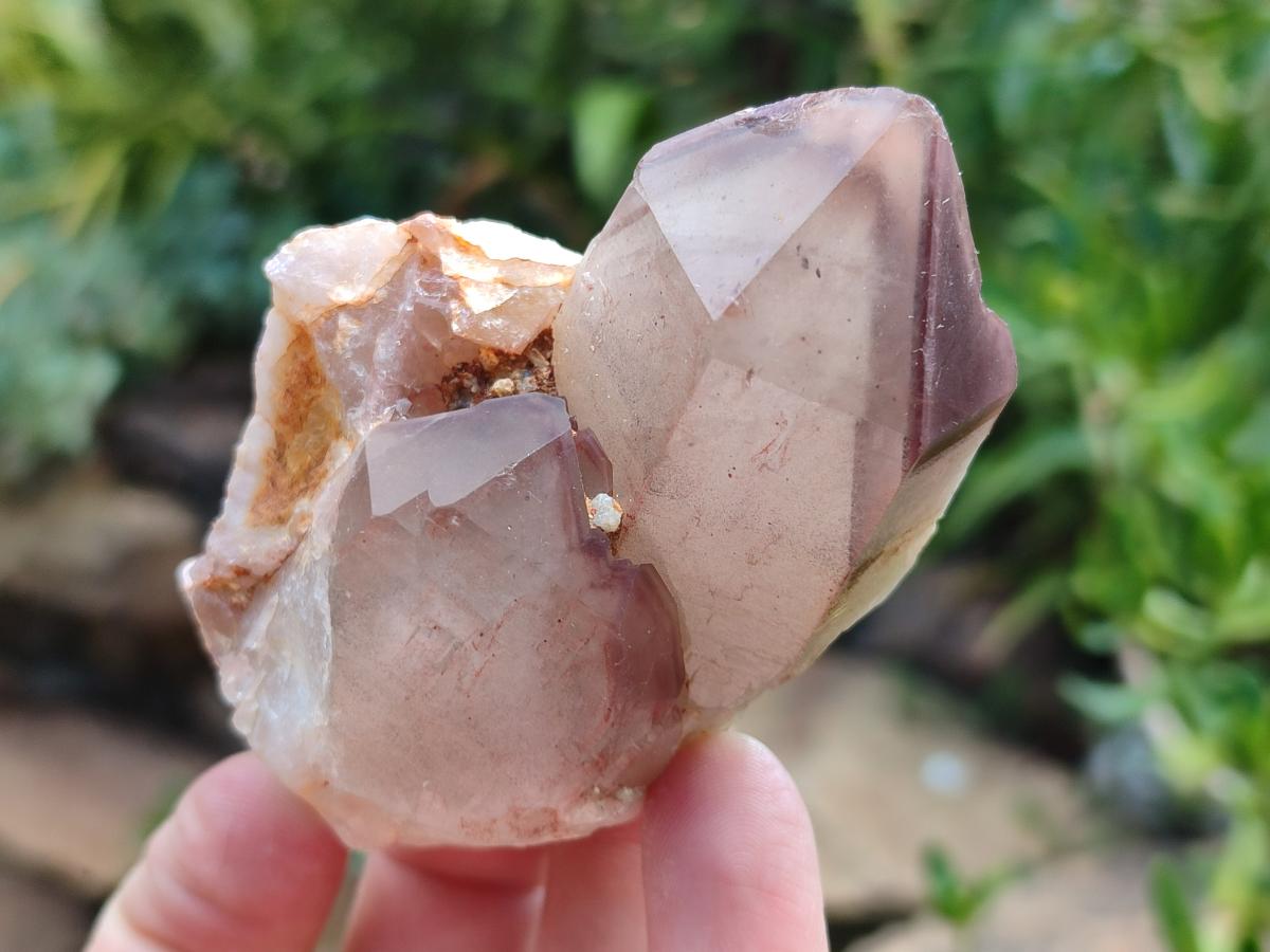 Natural Red Hematoid Quartz Crystals x 12 From Karoi, Zimbabwe