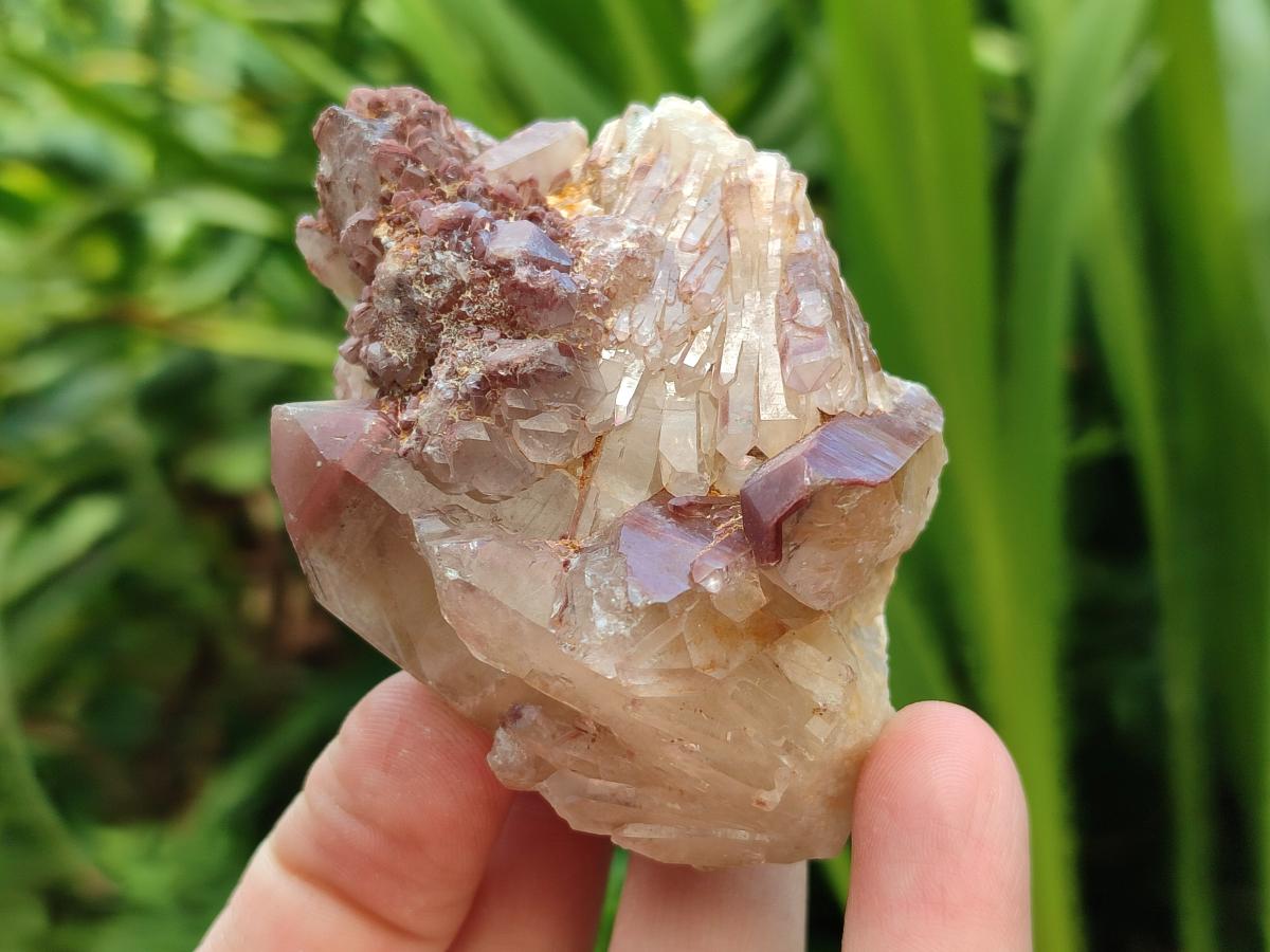 Natural Red Hematoid Quartz Crystals x 12 From Karoi, Zimbabwe