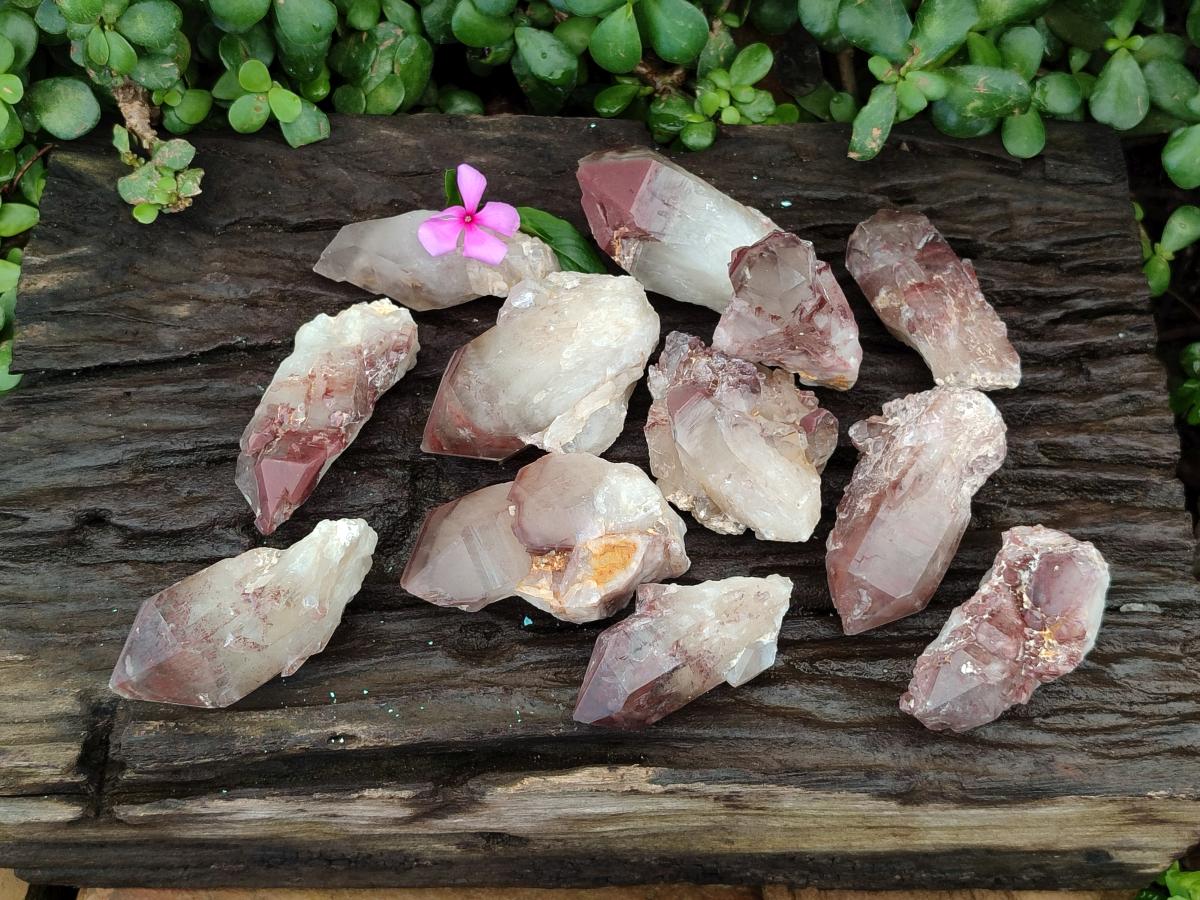 Natural Red Hematoid Quartz Crystals x 12 From Karoi, Zimbabwe