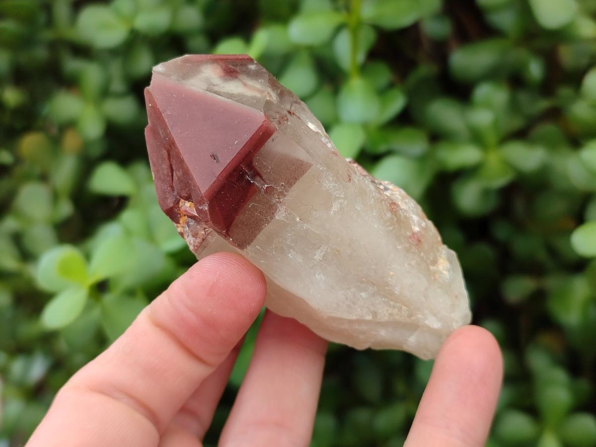 Natural Red Hematoid Quartz Crystals x 12 From Karoi, Zimbabwe