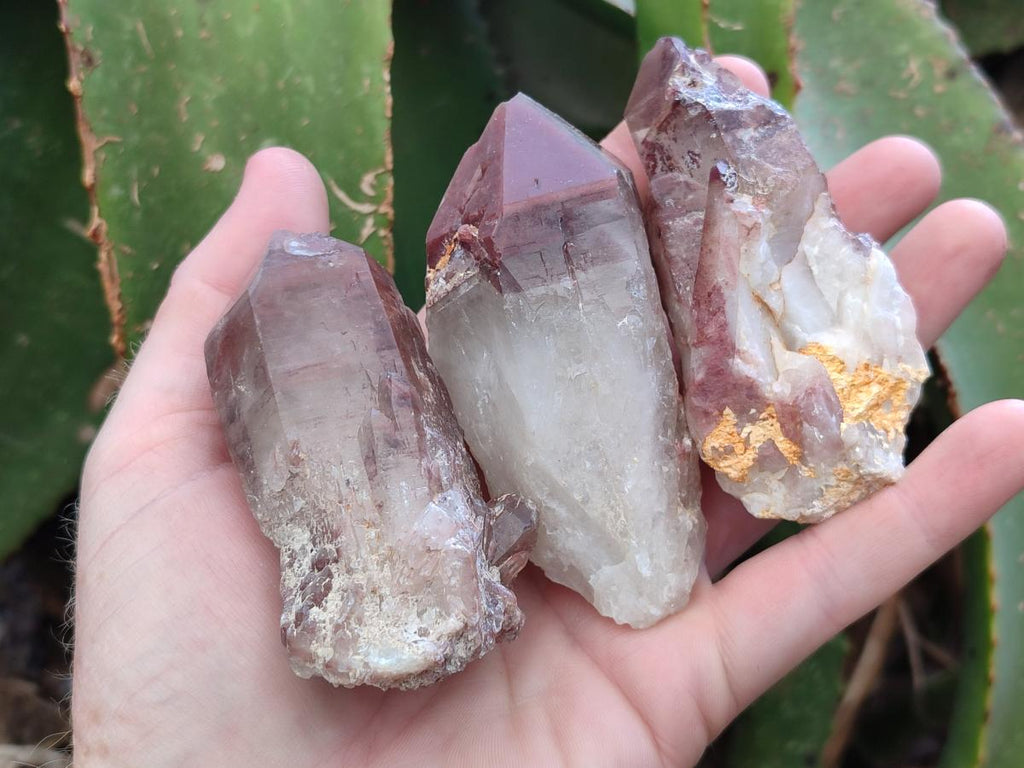 Natural Red Hematoid Quartz Crystals x 12 From Karoi, Zimbabwe