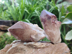 Natural Red Hematoid Quartz Crystals x 12 From Karoi, Zimbabwe